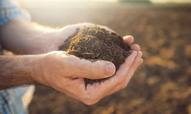 Top 5 Plant and Soil Science TED Talks
